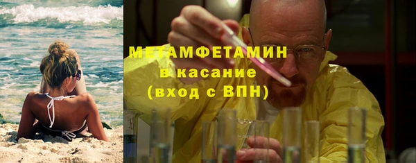 индика Зеленодольск