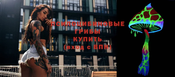 тгк Зеленокумск