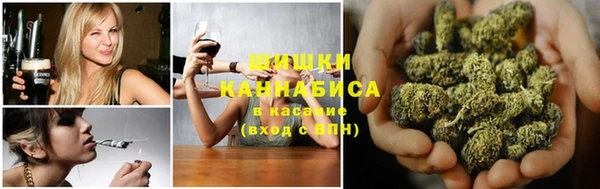 индика Зеленодольск
