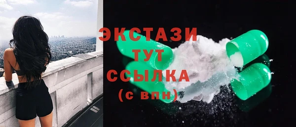 индика Зеленодольск