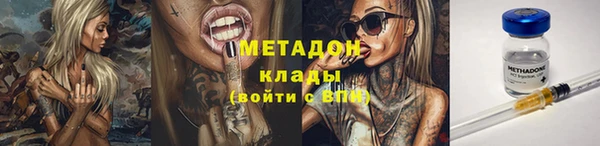 индика Зеленодольск