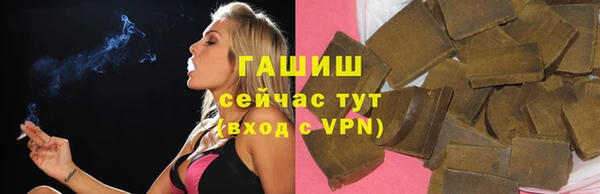 индика Зеленодольск