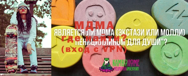 индика Зеленодольск