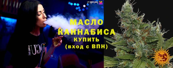 индика Зеленодольск