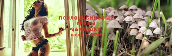 гашиш Заводоуковск