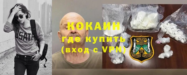 индика Зеленодольск
