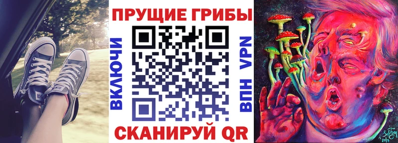 Псилоцибиновые грибы Psilocybine cubensis  Купить  Семилуки 